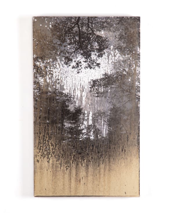 Matthew Brandt (American, b. 1982) AgXSB2012, 2024 Silver on Silver Gelatin Print Mounted on Aluminum 20” x 12” x 1 3/4” (51 x 30.5 x 4.5 cm) Unique (MBr.25486)