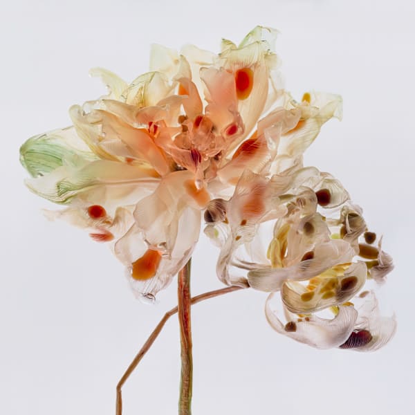 Kathrin Linkersdorff, Fairies II / 6, 2020