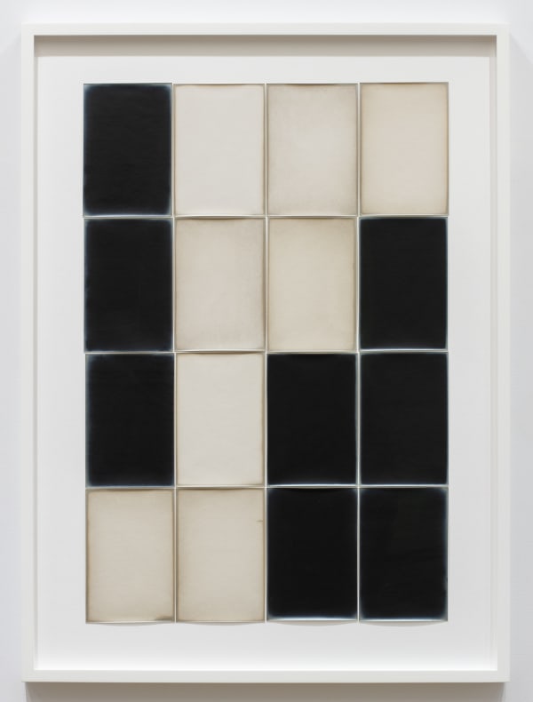 Alison Rossiter Tapestry - Unknown manufacturer Gaslicht – Papier – Normal, ca.1910s, processed 2024, 2025 Sixteen Gelatin Silver Prints Framed: 28 7/8" x 21 3/8" (73 x 54 cm) High-Resolution Image