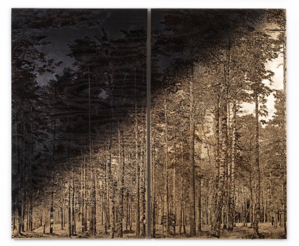 Matthew Brandt, BirchSPD01A, 2022