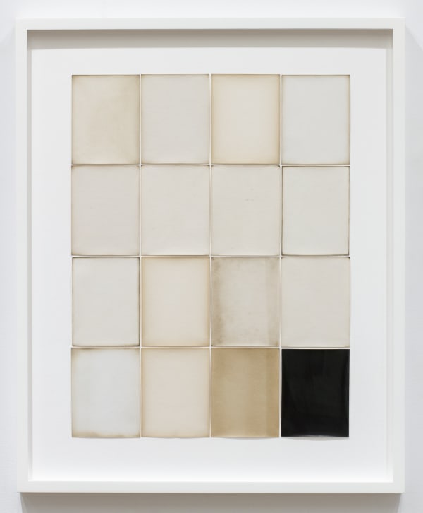 Alison Rossiter Tapestry - Nepera Chemical Company Velox, ca.1899, processed 2024, 2025 Sixteen Gelatin Silver Prints Framed: 22 3/8" x 18 3/8" (57 x 47 cm) High-Resolution Image