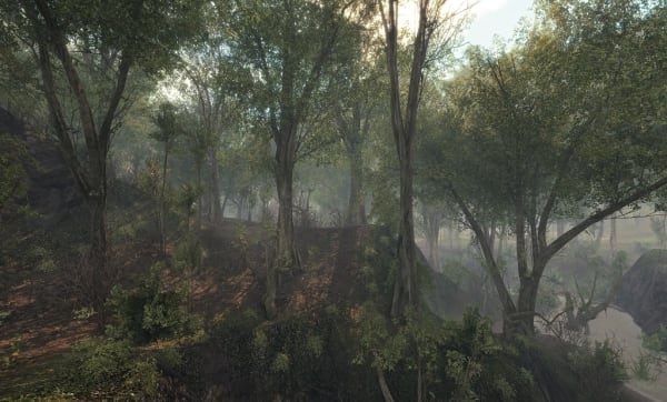 Black Creek, From the series Rare Earth