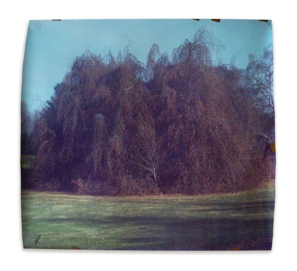 Craig House at Tioronda