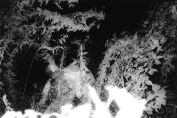 Kohei Yoshiyuki, Untitled [Plate 15], 1973