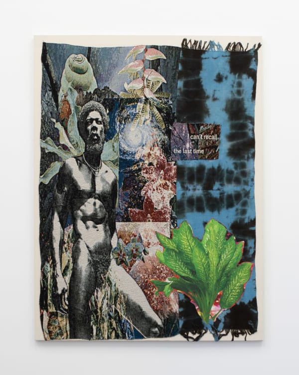 Richard Jonathan Nelson, touch on me like honey wine devil of a safety net, 2022