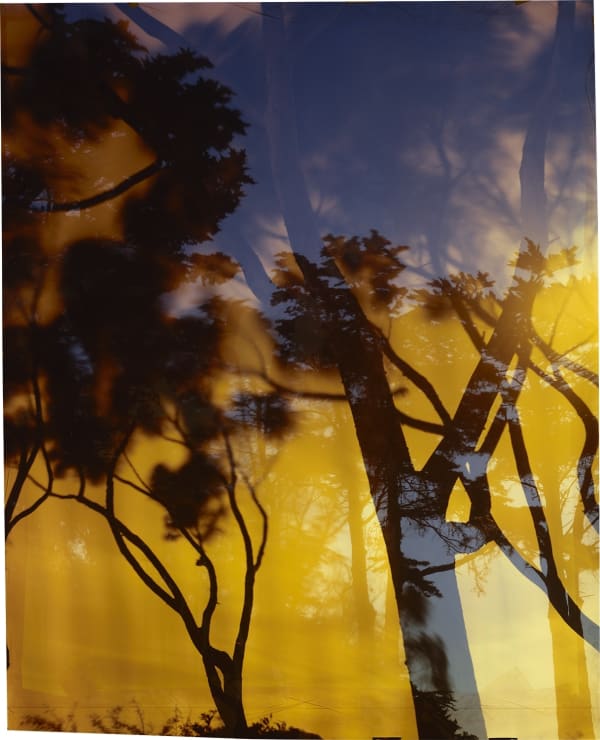 John Chiara, Starr King at Garcia, 2022