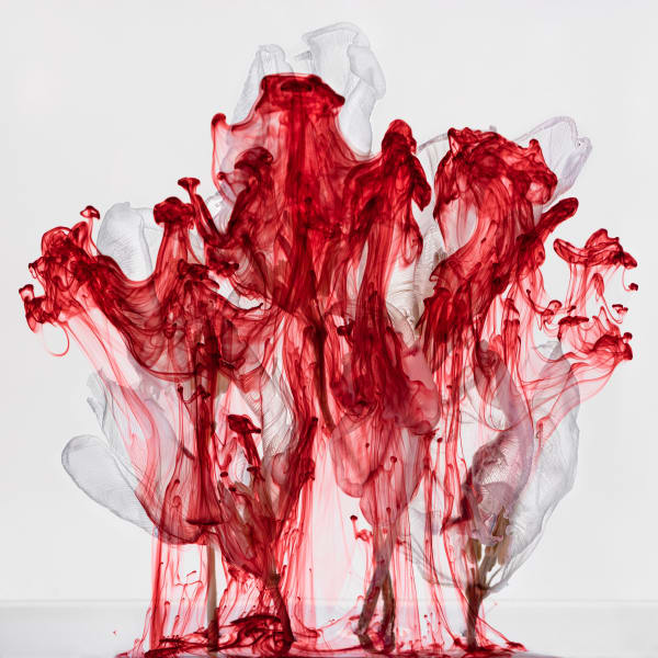 Fairies VI / 1, 2021 Archival Pigment Print on Hahnemuehle Photo Rag Ultra Smooth Available in Two Sizes