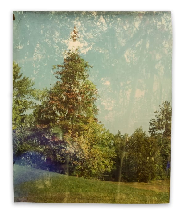 Craig House: Tioronda: Wolcott