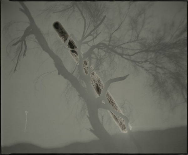 Sunburned GSP#582 (Mojave with sweat)