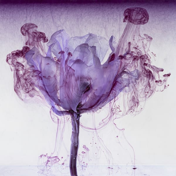 Kathrin Linkersdorff, Fairies IV / 7, 2020