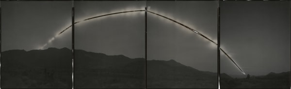 Sunburned GSP#519 (Southern Sierras)