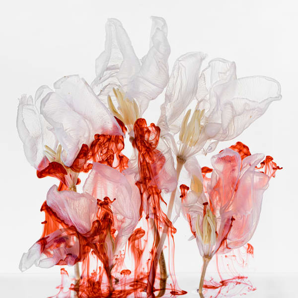 Kathrin Linkersdorff, Fairies VI / 3, 2021