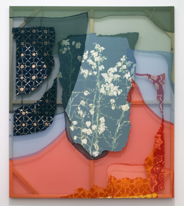 Lauren Luloff, Yucca Filamentosa (Red Shape), 2017