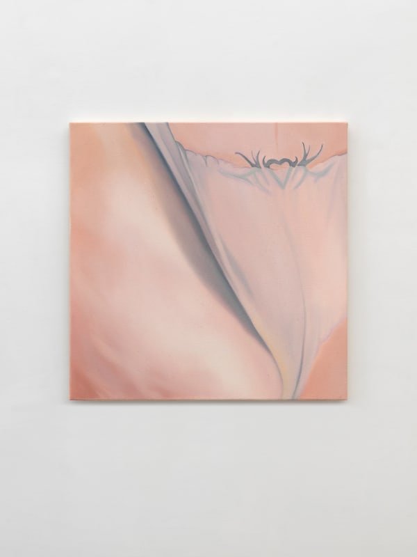 ADELISA SELIMBASIC, Zucchero filato, 2024