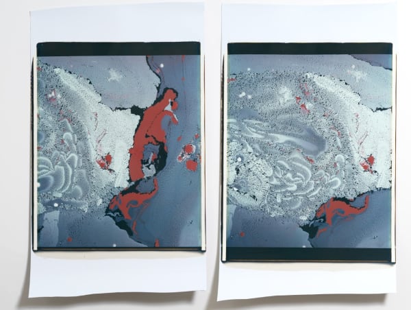 Beatrice Pediconi, Gaea Diptych #3, 2018