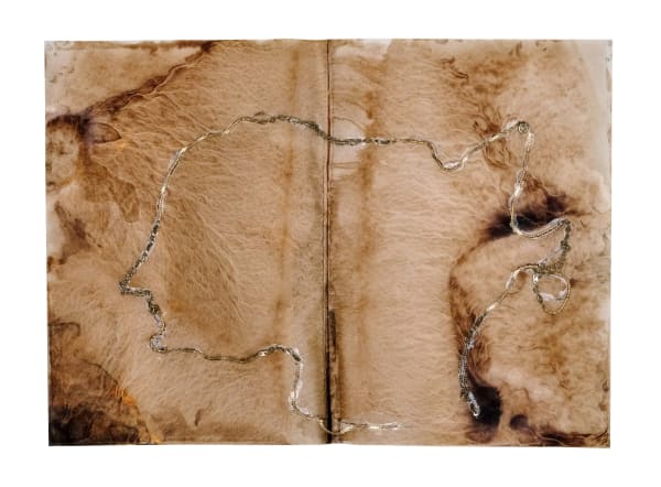 Mariella Bettineschi, Il libro dei profili, 2014