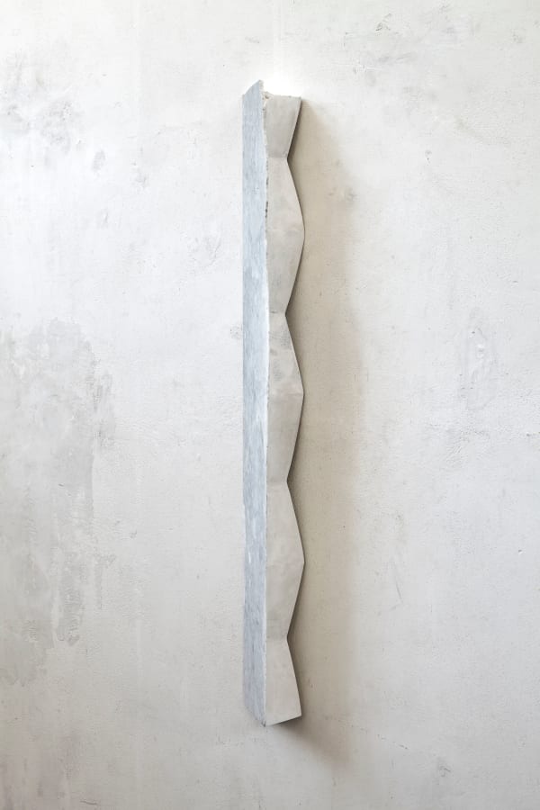 Fabrizio Prevedello, Ragazzo! Bisogna disegnare! (e avanti...) (207), 2017