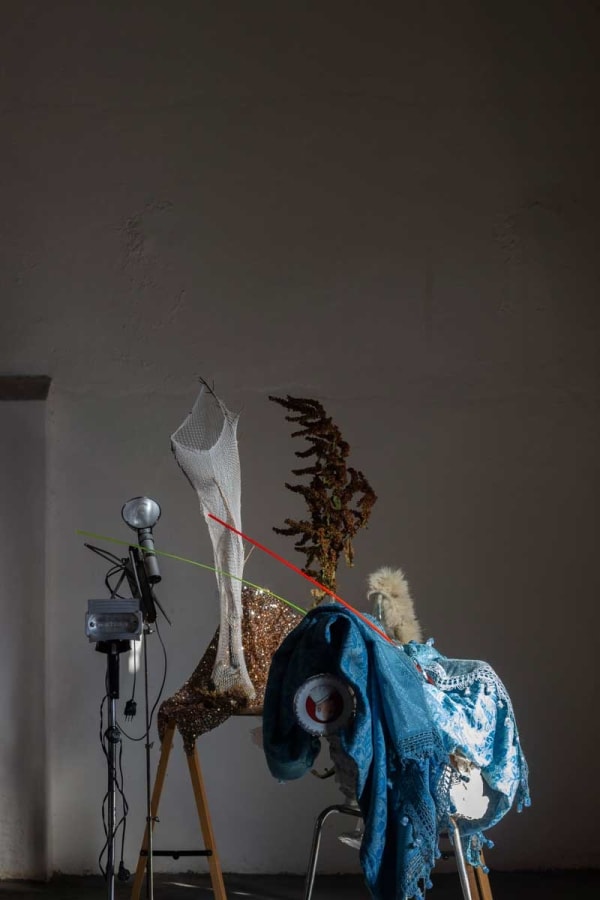 Chiara Bettazzi, Dal ciclo A tutti gli effetti, 2021