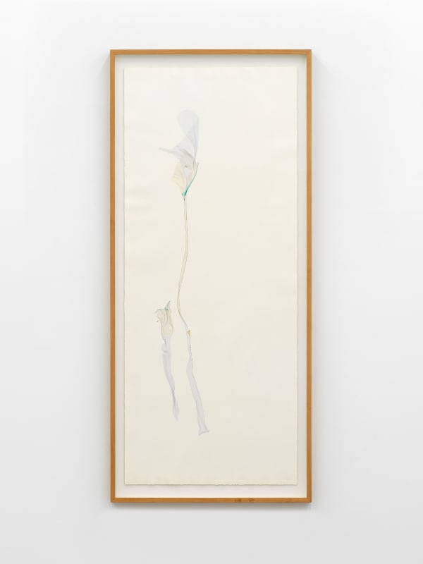 Beatrice Pediconi, Naked Man Orchid, 2023-2024