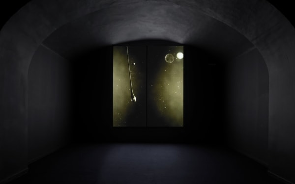 Beatrice Pediconi, Alien, 2016