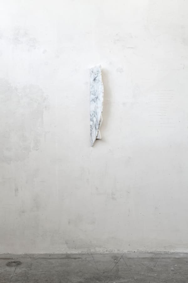 Fabrizio Prevedello, Ragazzo! Bisogna disegnare! (e undici) (206), 2017