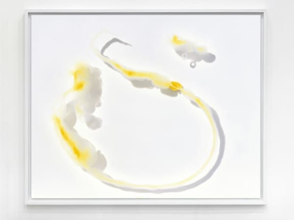 Beatrice Pediconi, Red #12, 2011