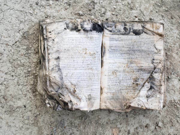 Silvia Camporesi, Teologia from the series “Sommersi salvati”, 2023