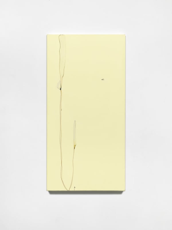 Beatrice Pediconi, Un fiore sboccia per la sua stessa gioia after Oscar Wilde, writer, 2024