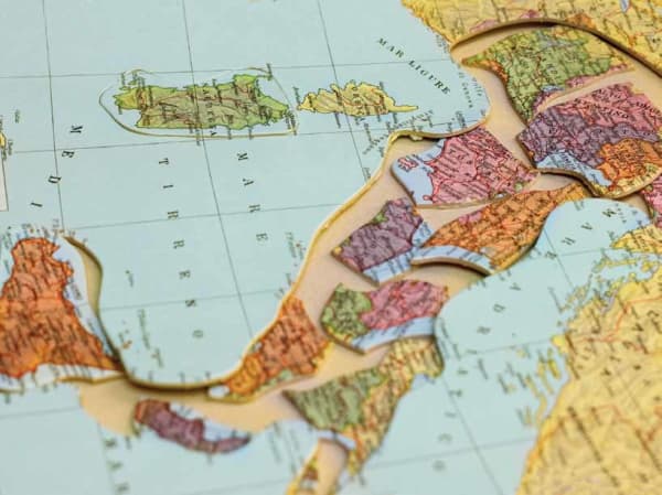 Silvia Camporesi, Domestica, 2020