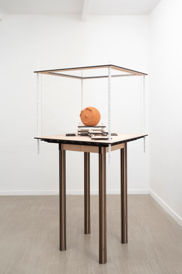 Michele Guido, filanda 05.04.15 _andricus quercustozae project _via della vetrina 21, 2020