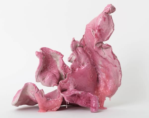 Guglielmo Maggini, Rogo di ricordi rosa (il cormorano), 2024