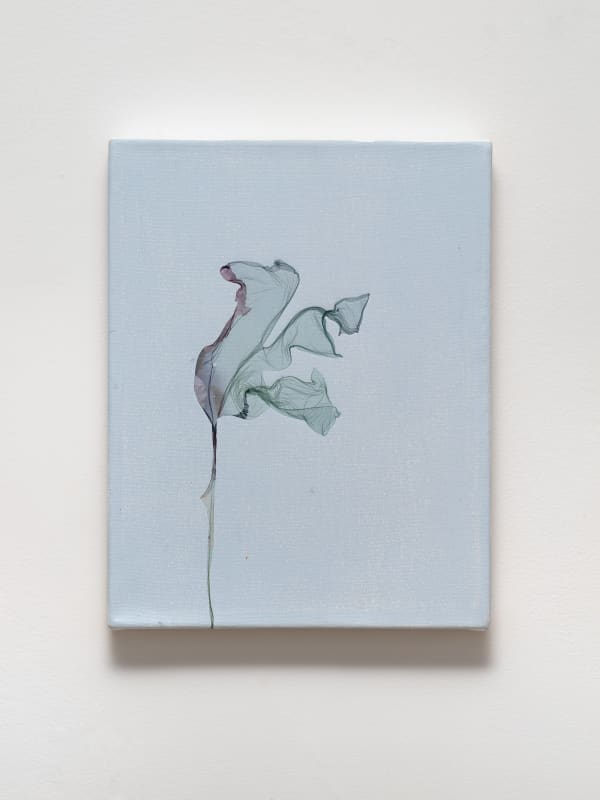 Beatrice Pediconi, Un qualsiasi passante crederebbe che la mia rosa vi rassomigli, ma lei, lei sola, è più importante di tutte voi, perché è lei che ho innaffiata after Antoine de Saint-Exupèry writer, 2024