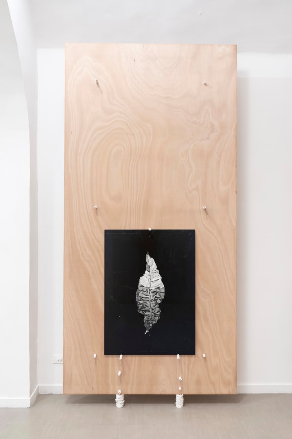 Michele Guido, taphrina deformans_2015/2021, 2021