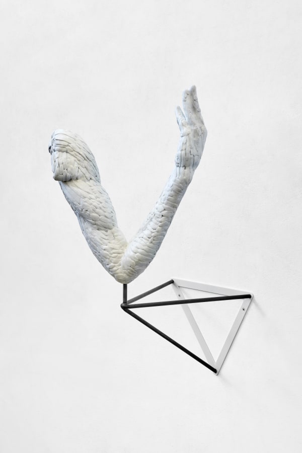 Fabrizio Prevedello, Fiore (199 b) 2/3, 2017-2022