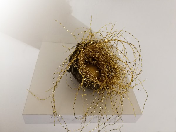 Mariella Bettineschi, Nido, 2008