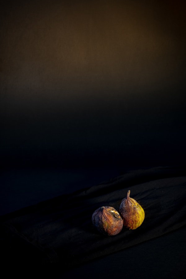 Serena Fineschi, Cattive Compagnie, 2022