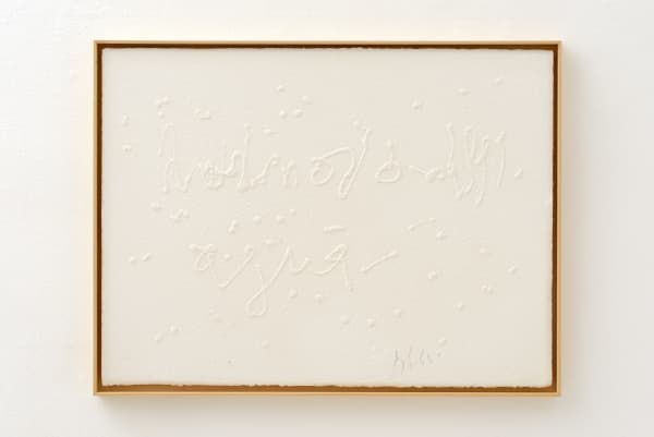 Pier Paolo Calzolari, Scritture, 2019