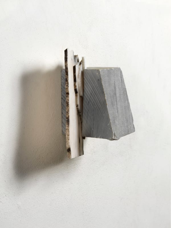 Fabrizio Prevedello, Senza Titolo (218), 2018