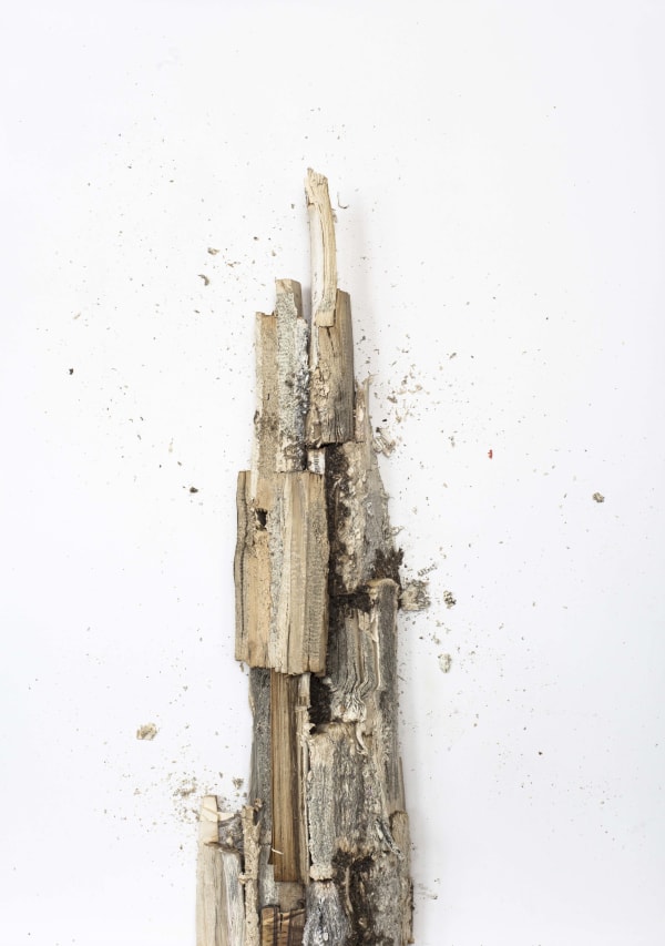 Kristof Kintera, Word Tower, 2019