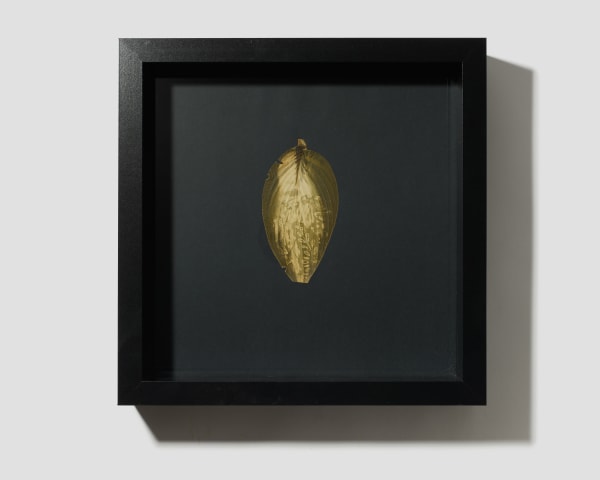 Megan Bent, Quarantine Day 121, 2020