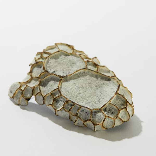 Brian Fleetwood, Silk Brooch (Large Cell), 2021