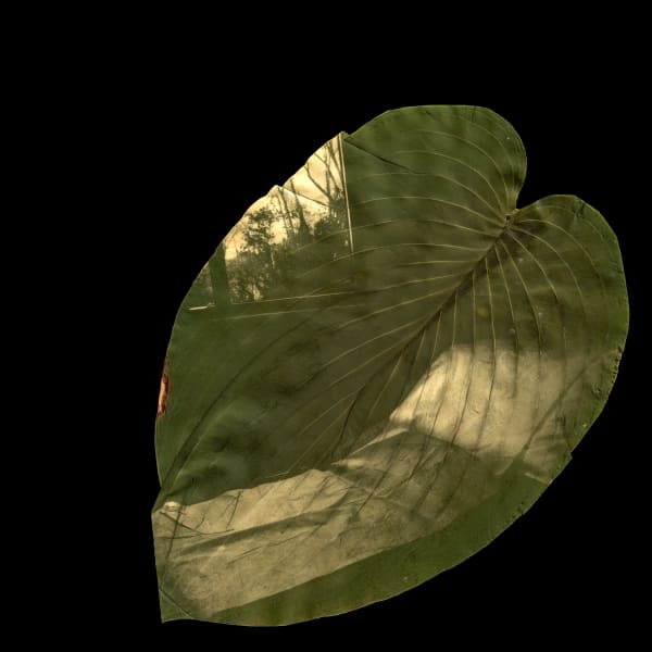 Megan Bent, Untitled (180,000 Lost and Counting) August 26, 2020, 2020