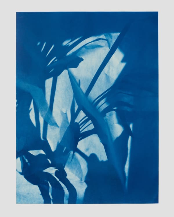 Leah Koransky, Sun fused to the blue, 2022