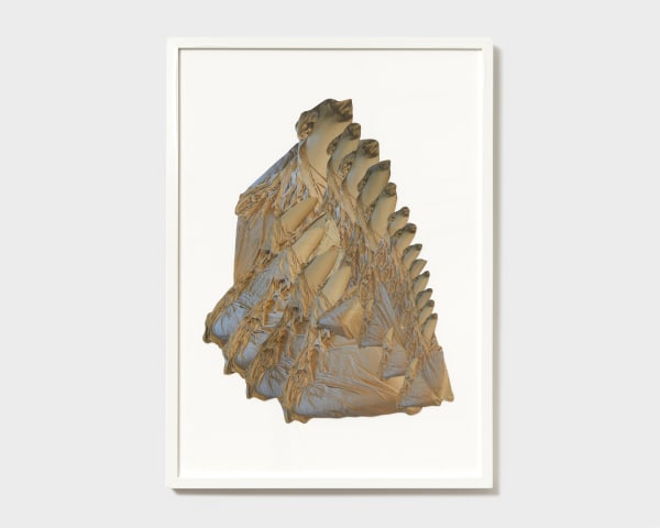 Mira Burack, Fool's Gold Shard 4, 2023