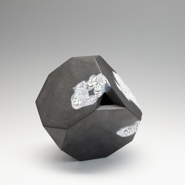Pascal Emmer, Symbio-Entanglement 2, 2021