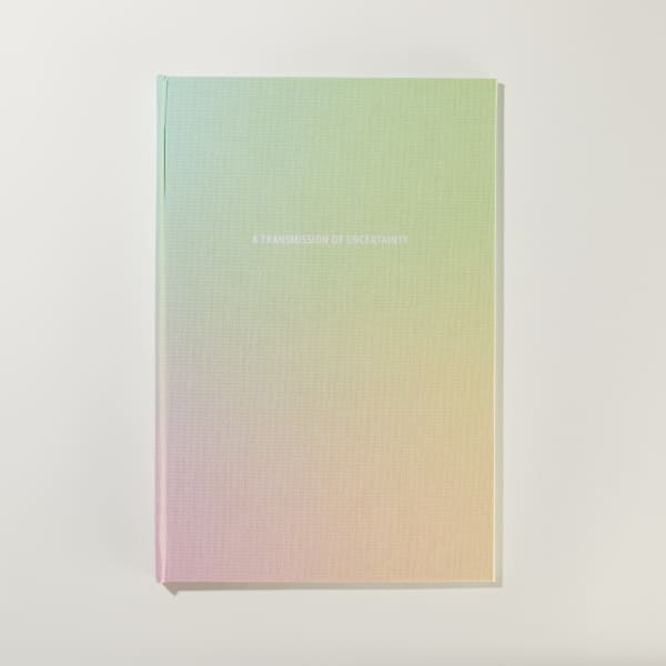 Erin Mickelson, A Transmission Of Uncertainty, 2021