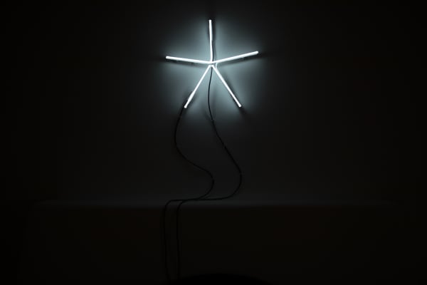 Jami Porter Lara, Terms and Conditions, 2021