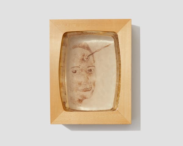 Rosemary Meza-DesPlas, You Need Another Lover, Like You Need a Hole in Your Head, 2004