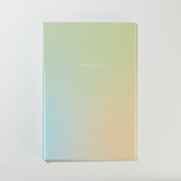 Erin Mickelson, Future Histories, 2021