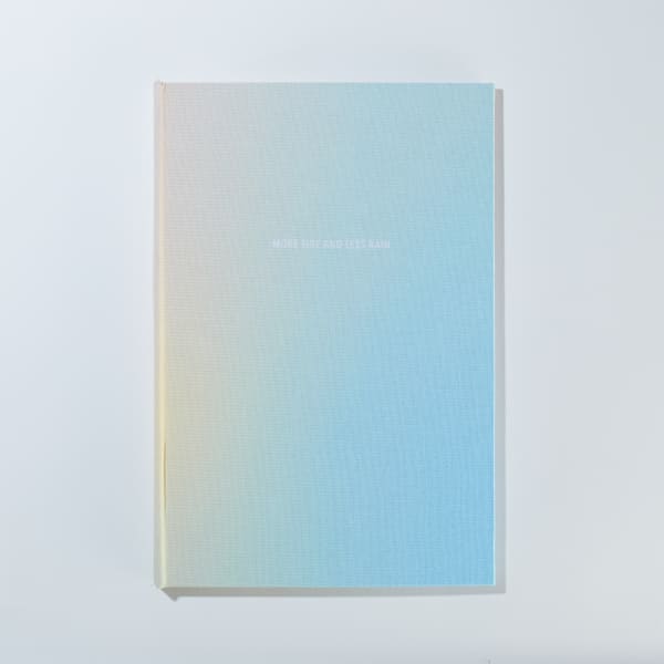 Erin Mickelson, More Fire And Less Rain, 2021